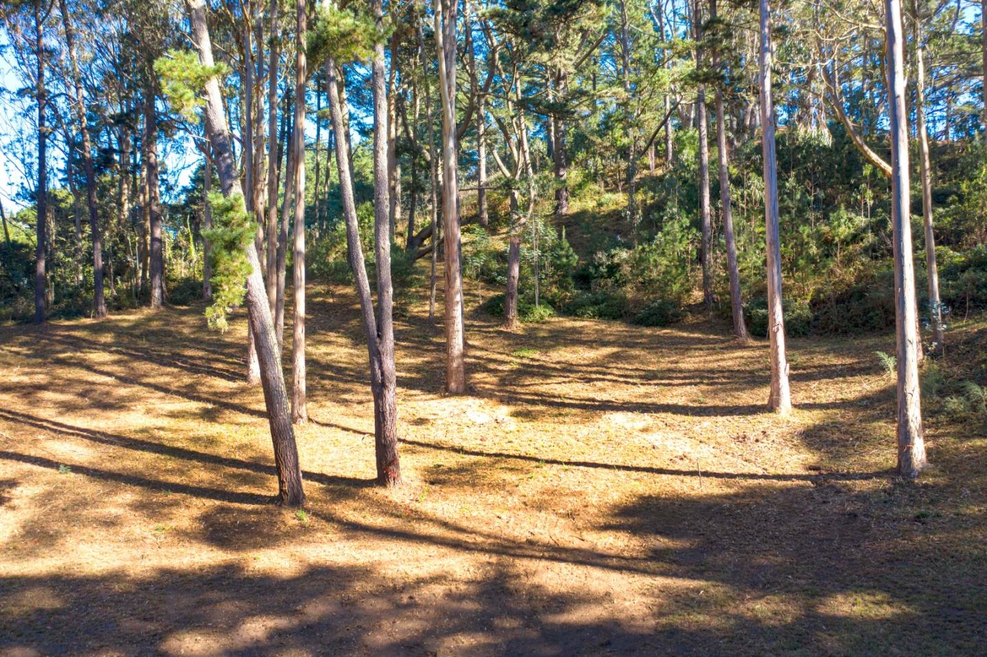 20 Bay View Road, MONTARA, California 94037, ,Lots And Land,For Sale,Bay View Road,40963816