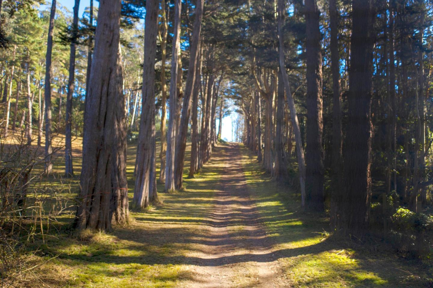 20 Bay View Road, MONTARA, California 94037, ,Lots And Land,For Sale,Bay View Road,40963816