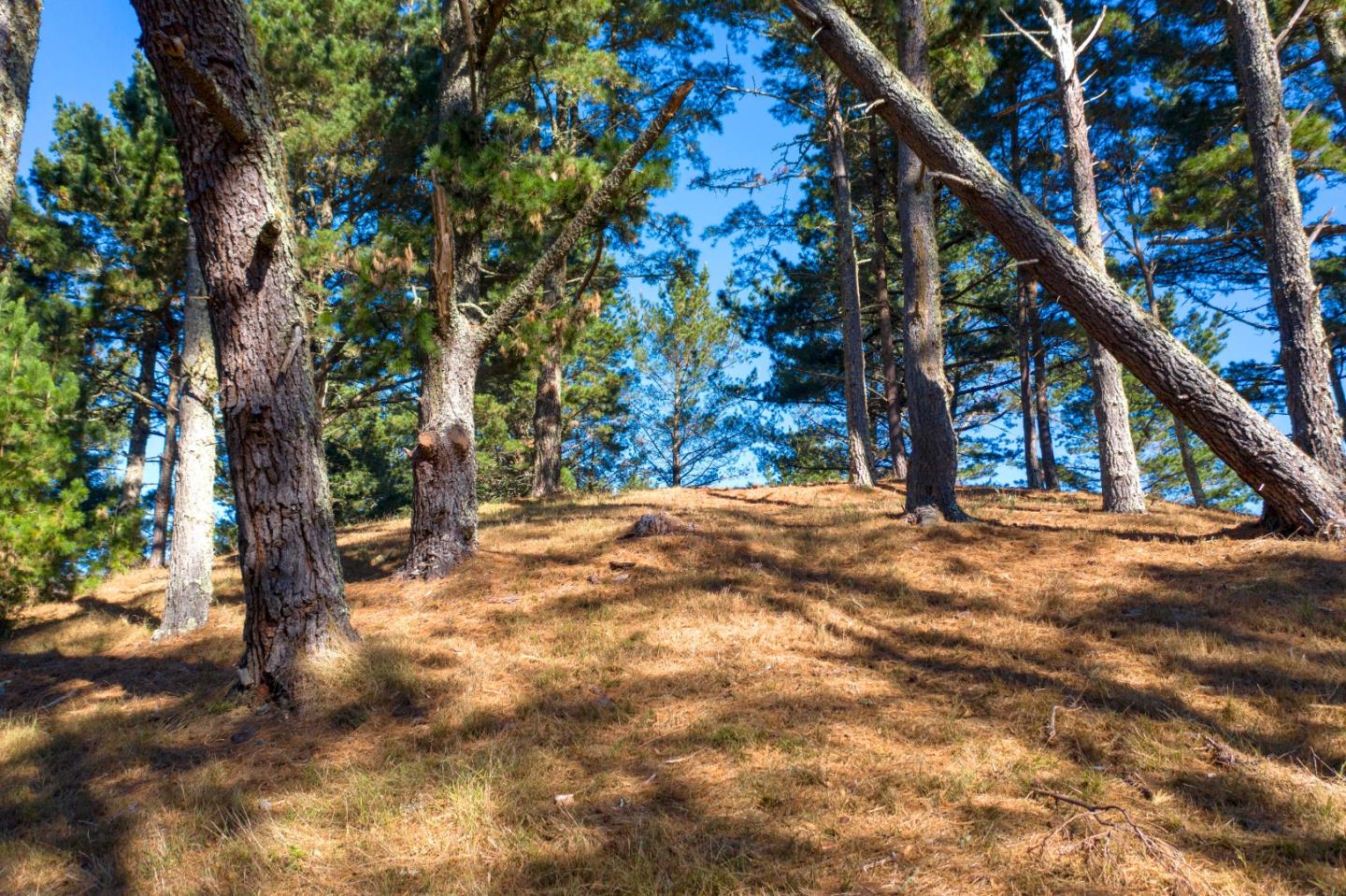 40 Bay View Road, MONTARA, California 94037, ,Lots And Land,For Sale,Bay View Road,40963818