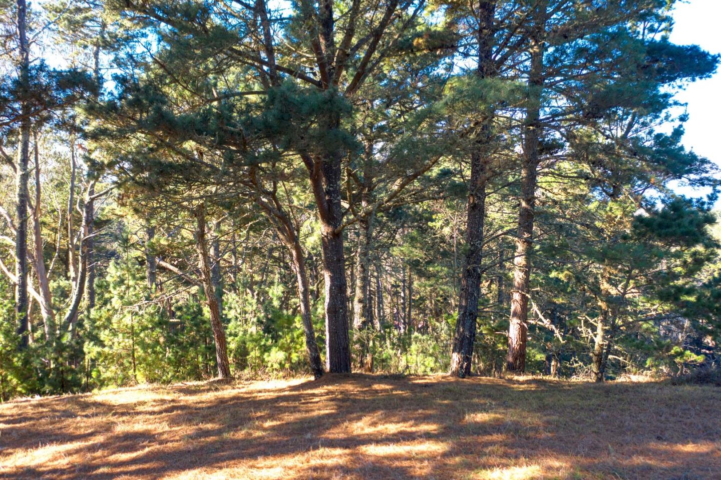 40 Bay View Road, MONTARA, California 94037, ,Lots And Land,For Sale,Bay View Road,40963818