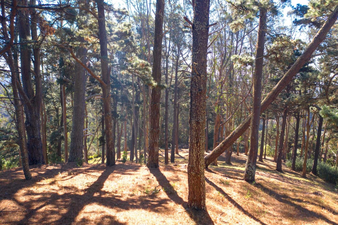 40 Bay View Road, MONTARA, California 94037, ,Lots And Land,For Sale,Bay View Road,40963818