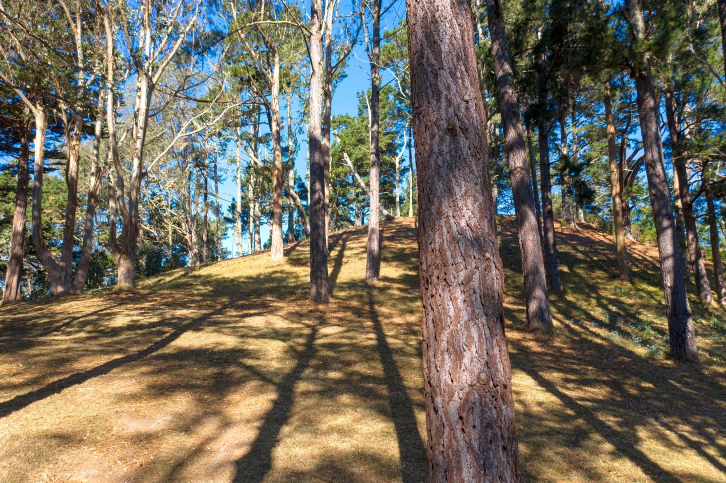 40 Bay View Road, MONTARA, California 94037, ,Lots And Land,For Sale,Bay View Road,40963818
