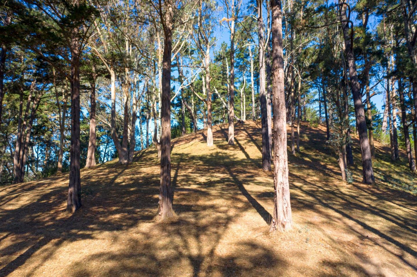 40 Bay View Road, MONTARA, California 94037, ,Lots And Land,For Sale,Bay View Road,40963818