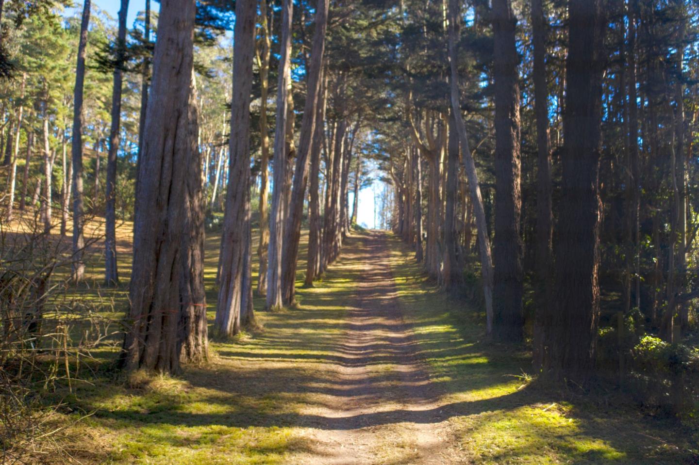 60 Bay View, MONTARA, California 94037, ,Lots And Land,For Sale,Bay View,40963817
