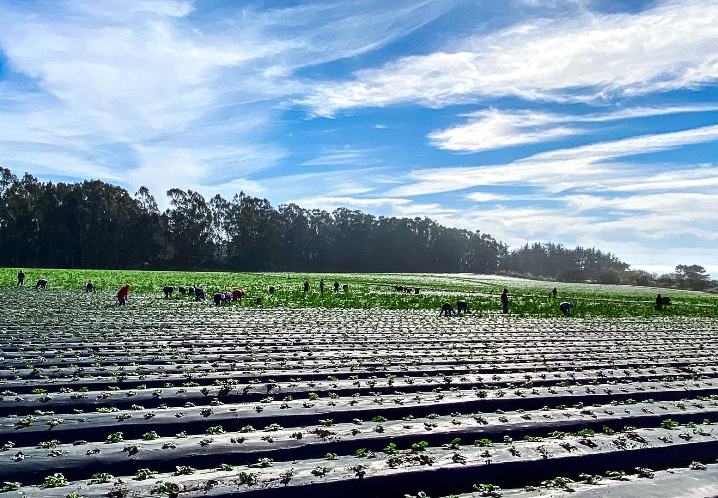 0 Sumner Avenue, APTOS, California 95003, ,Comm Lots And Land,For Sale,Sumner Avenue,40961711