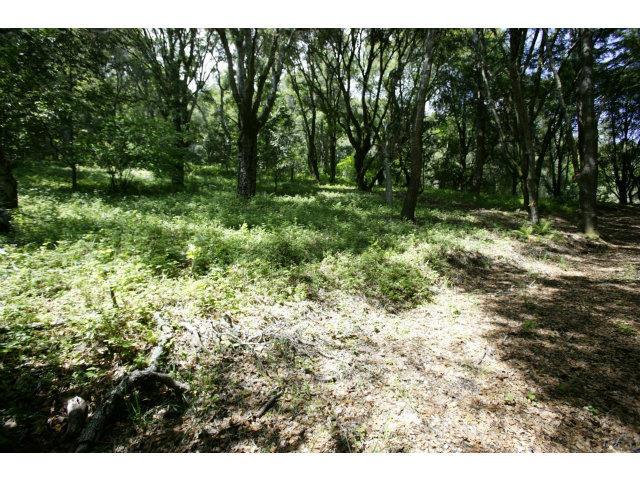 0 SUNDANCE HILL Road, SOQUEL, California 95073, ,Lots And Land,For Sale,SUNDANCE HILL Road,40961941