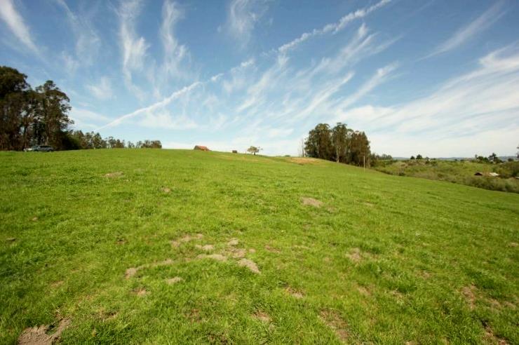 677 Buena Vista Drive, WATSONVILLE, California 95076, ,Lots And Land,For Sale,Buena Vista Drive,40965067