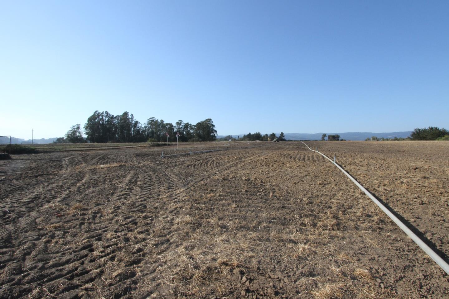 677 Buena Vista Drive, WATSONVILLE, California 95076, ,Lots And Land,For Sale,Buena Vista Drive,40965067