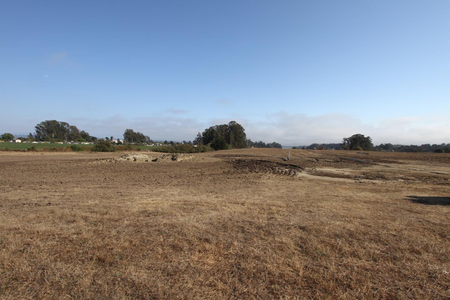 677 Buena Vista Drive, WATSONVILLE, California 95076, ,Lots And Land,For Sale,Buena Vista Drive,40965067