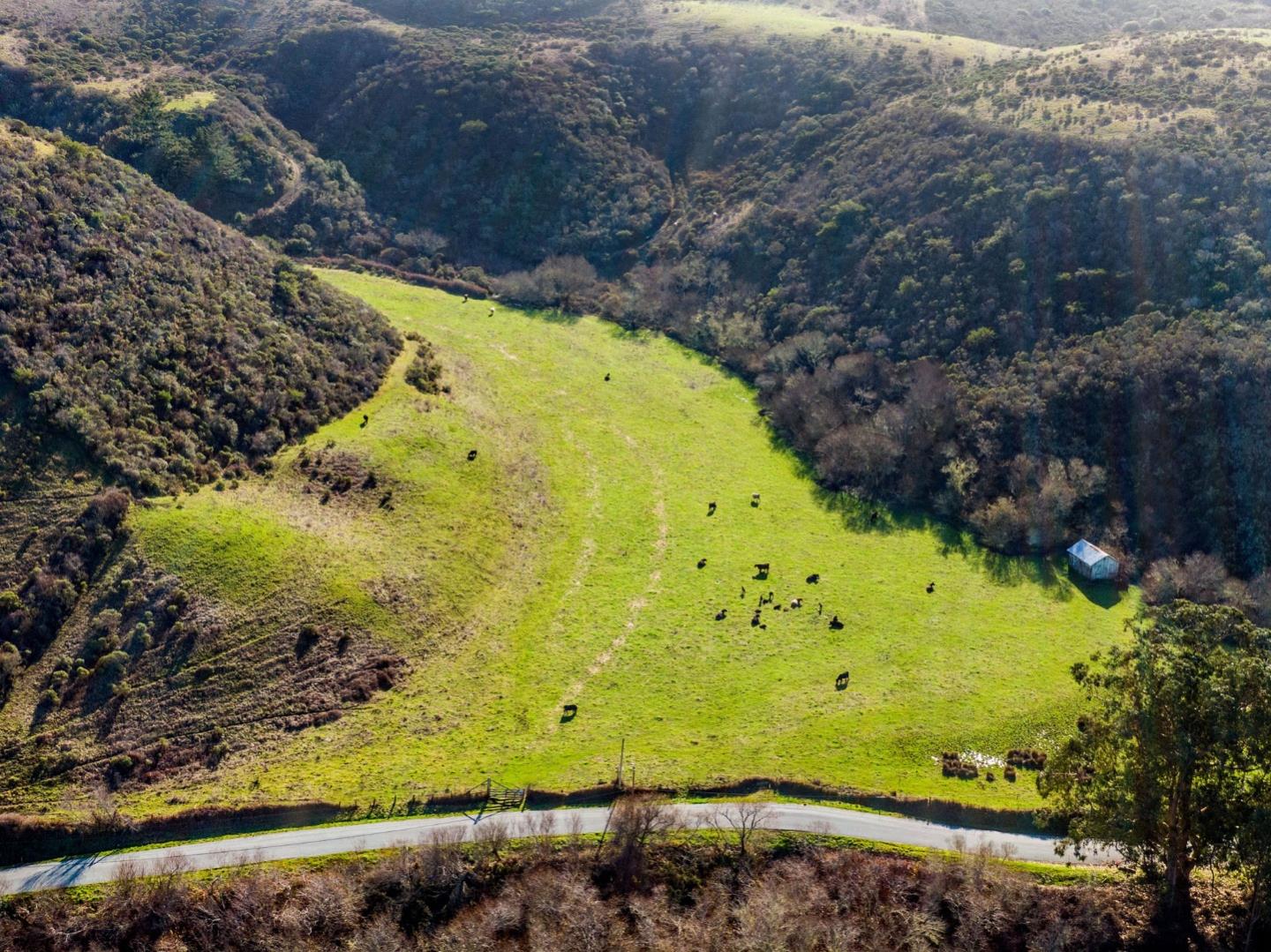 3225 Pomponio Creek, SAN GREGORIO, California 94074, ,Lots And Land,For Sale,Pomponio Creek,40963819