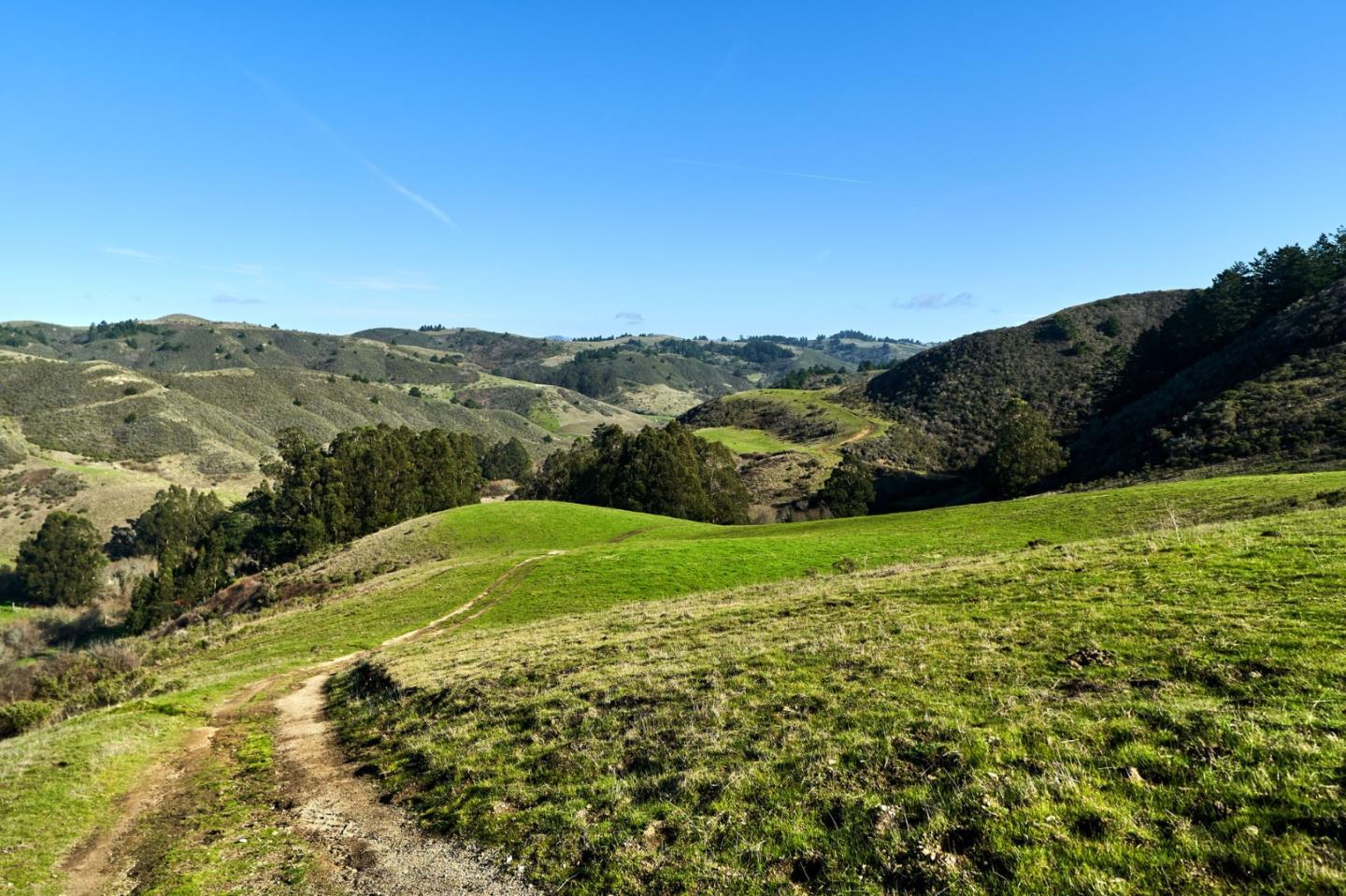 3225 Pomponio Creek, SAN GREGORIO, California 94074, ,Lots And Land,For Sale,Pomponio Creek,40963819