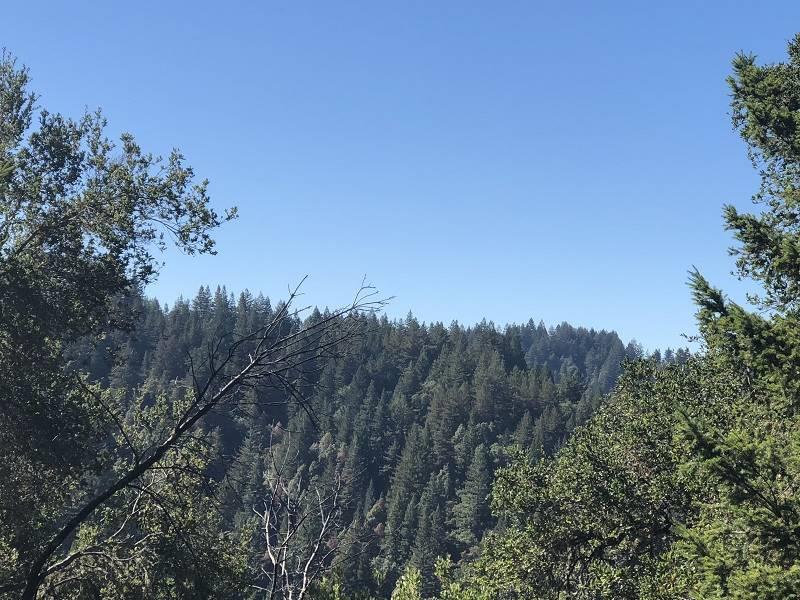 0 Conley Creek, BOULDER CREEK, California 95006, ,Lots And Land,For Sale,Conley Creek,40965775