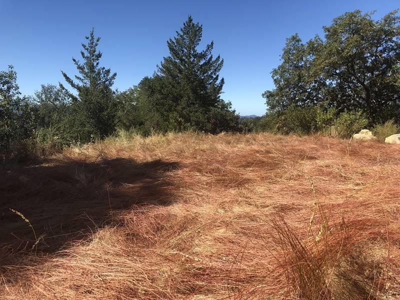 0 Conley Creek, BOULDER CREEK, California 95006, ,Lots And Land,For Sale,Conley Creek,40965775