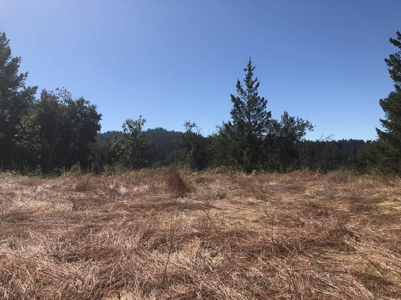 0 Conley Creek, BOULDER CREEK, California 95006, ,Lots And Land,For Sale,Conley Creek,40965775