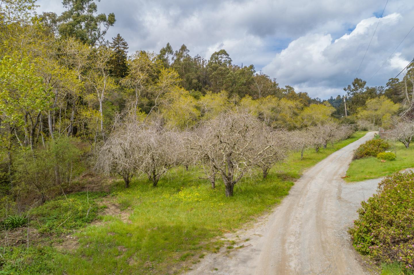 575 Travers Lane, WATSONVILLE, California 95076, ,Lots And Land,For Sale,Travers Lane,40963031
