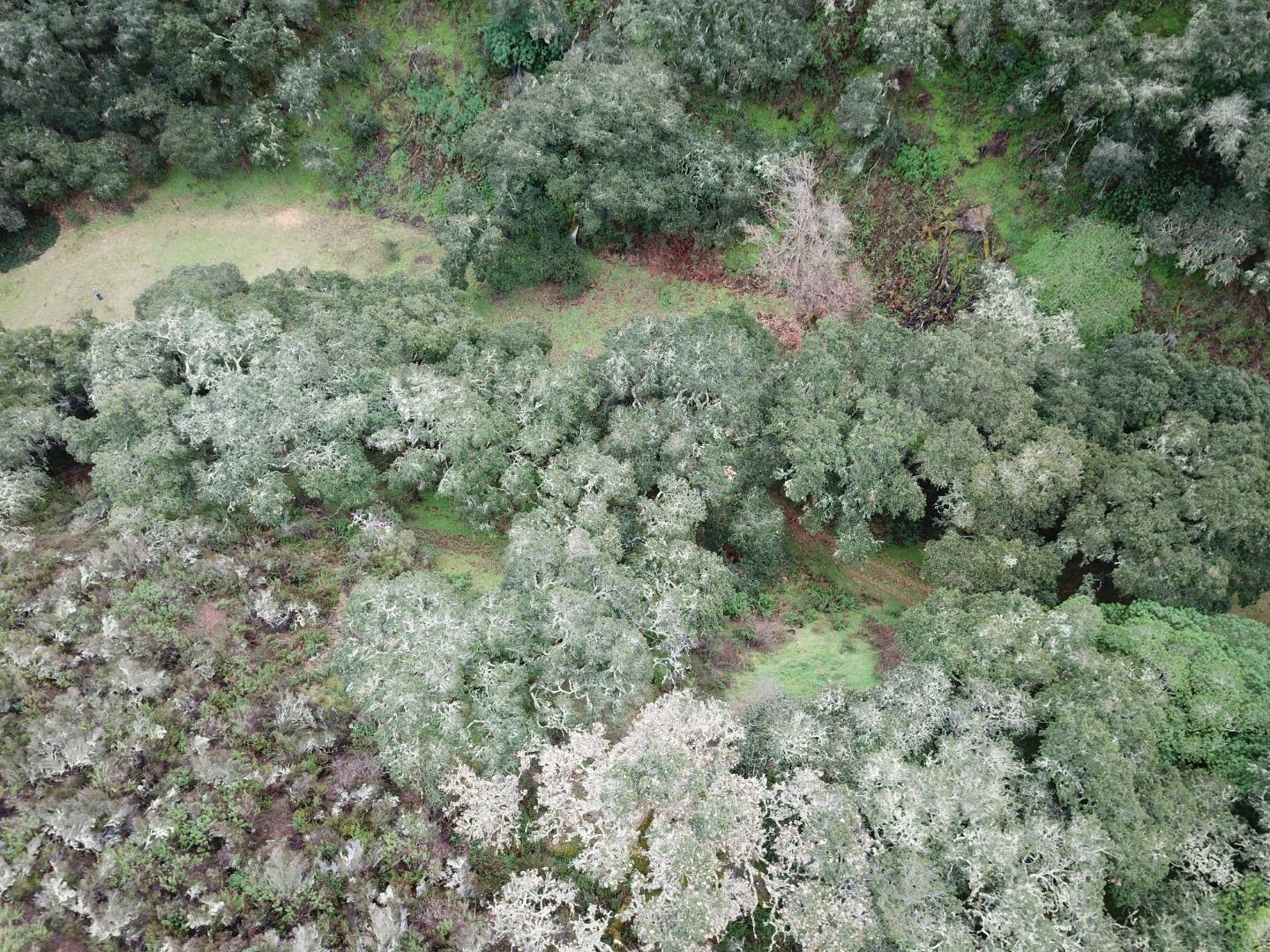 2925 Quinn Canyon Road, SAN JUAN BAUTISTA, California 95045, ,Lots And Land,For Sale,Quinn Canyon Road,40963288