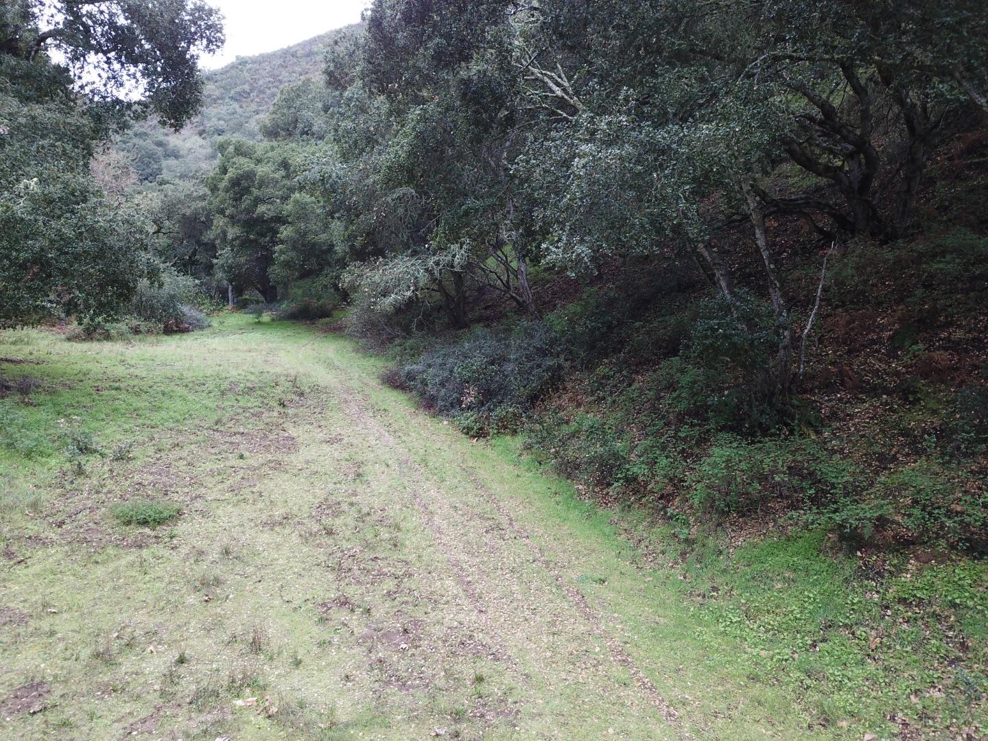 2925 Quinn Canyon Road, SAN JUAN BAUTISTA, California 95045, ,Lots And Land,For Sale,Quinn Canyon Road,40963288