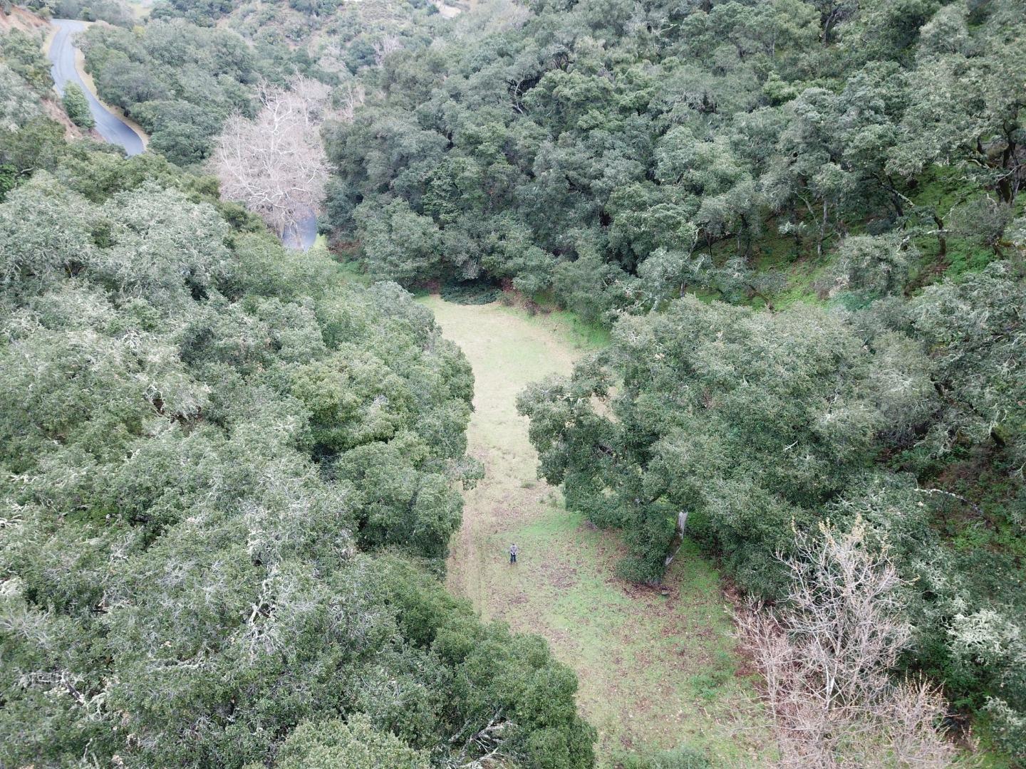 2925 Quinn Canyon Road, SAN JUAN BAUTISTA, California 95045, ,Lots And Land,For Sale,Quinn Canyon Road,40963288