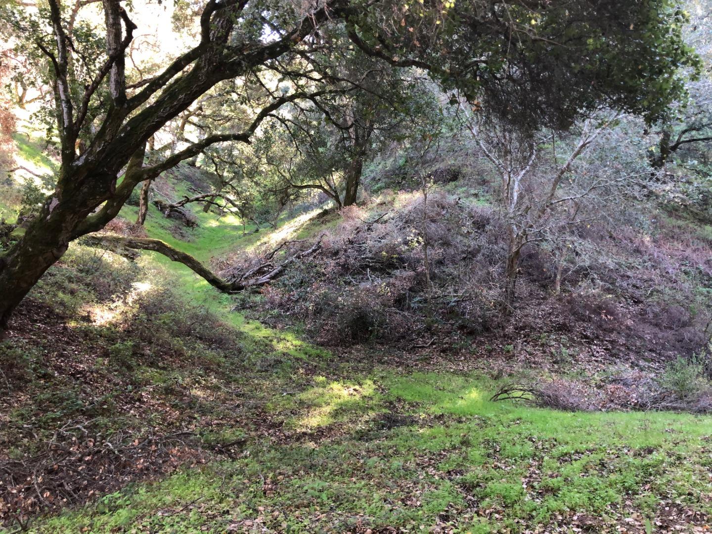 2925 Quinn Canyon Road, SAN JUAN BAUTISTA, California 95045, ,Lots And Land,For Sale,Quinn Canyon Road,40963288