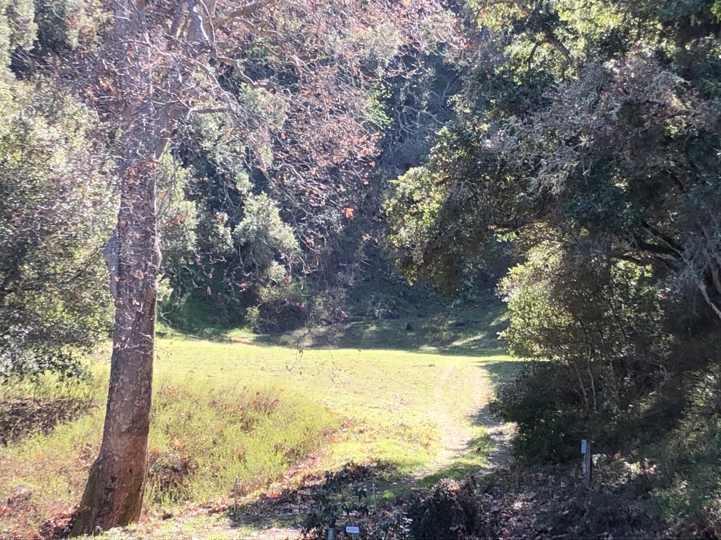 2925 Quinn Canyon Road, SAN JUAN BAUTISTA, California 95045, ,Lots And Land,For Sale,Quinn Canyon Road,40963288