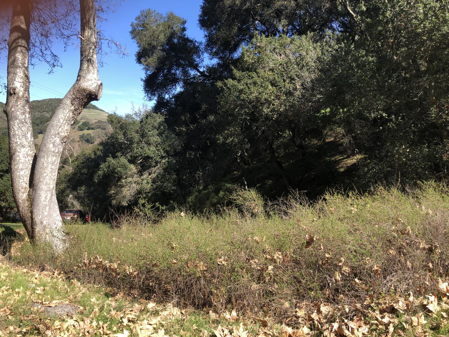 2925 Quinn Canyon Road, SAN JUAN BAUTISTA, California 95045, ,Lots And Land,For Sale,Quinn Canyon Road,40963288