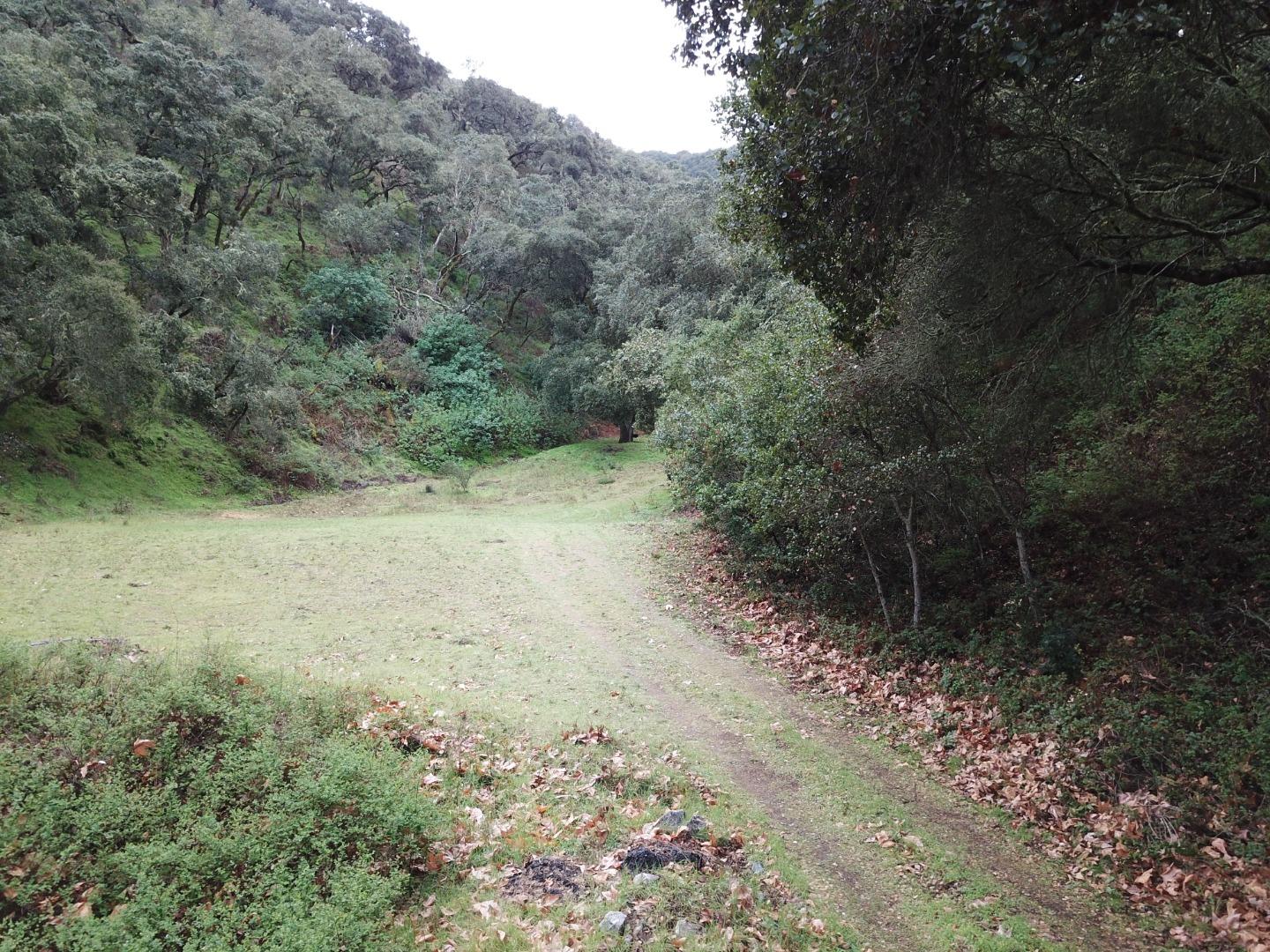 2925 Quinn Canyon Road, SAN JUAN BAUTISTA, California 95045, ,Lots And Land,For Sale,Quinn Canyon Road,40963288