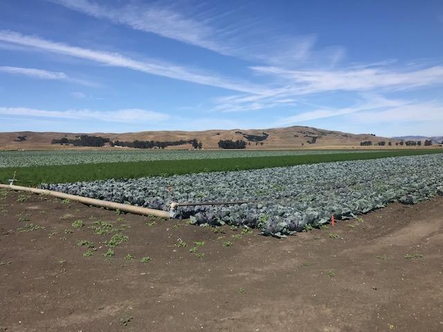 0 Brookhollow Road, HOLLISTER, California 95023, ,Lots And Land,For Sale,Brookhollow Road,40963406