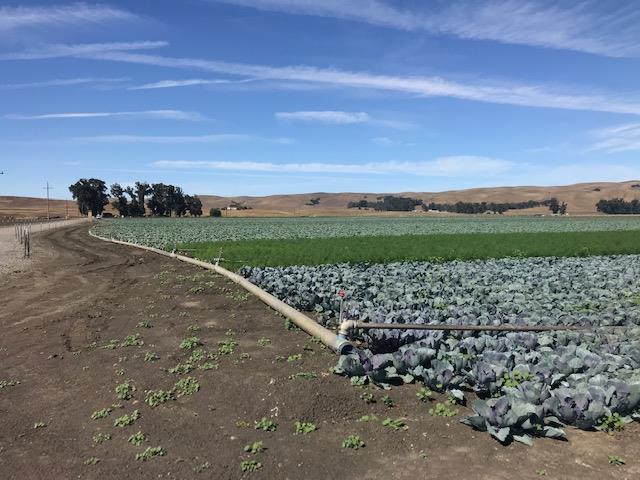 0 Brookhollow Road, HOLLISTER, California 95023, ,Lots And Land,For Sale,Brookhollow Road,40963406