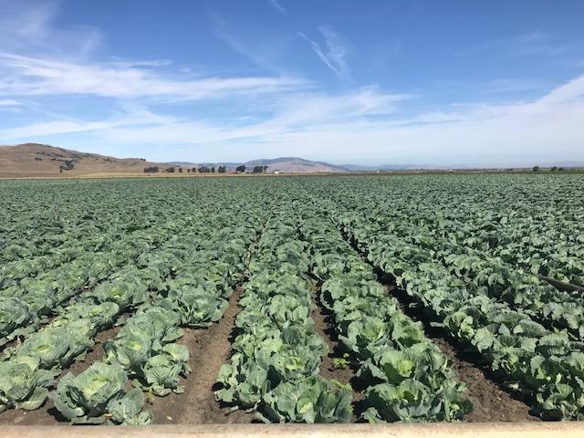 0 Brookhollow Road, HOLLISTER, California 95023, ,Lots And Land,For Sale,Brookhollow Road,40963406