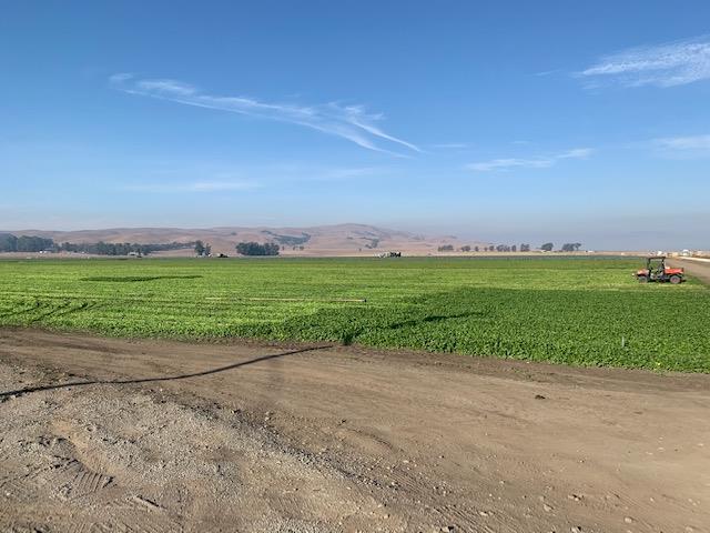 0 Brookhollow Road, HOLLISTER, California 95023, ,Lots And Land,For Sale,Brookhollow Road,40963406