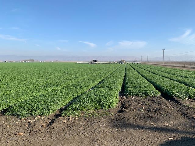 0 Brookhollow Road, HOLLISTER, California 95023, ,Lots And Land,For Sale,Brookhollow Road,40963406