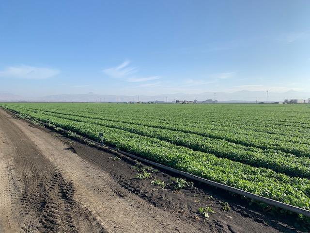 0 Brookhollow Road, HOLLISTER, California 95023, ,Lots And Land,For Sale,Brookhollow Road,40963406