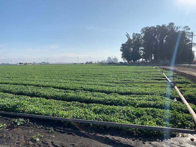 0 Brookhollow Road, HOLLISTER, California 95023, ,Lots And Land,For Sale,Brookhollow Road,40963406