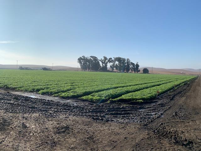 0 Brookhollow Road, HOLLISTER, California 95023, ,Lots And Land,For Sale,Brookhollow Road,40963406