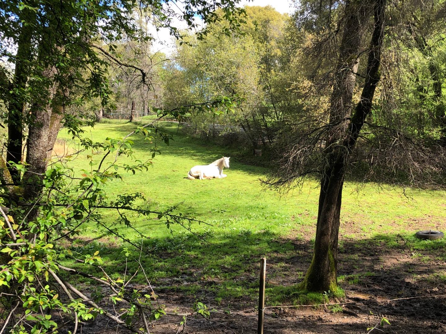 0 Godley Road, LINCOLN, California 95648, ,Lots And Land,For Sale,Godley Road,40967405
