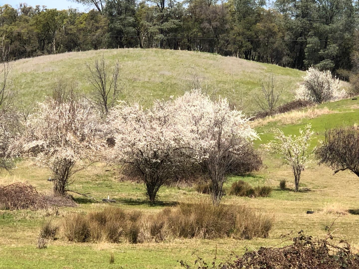 0 Godley Road, LINCOLN, California 95648, ,Lots And Land,For Sale,Godley Road,40967405
