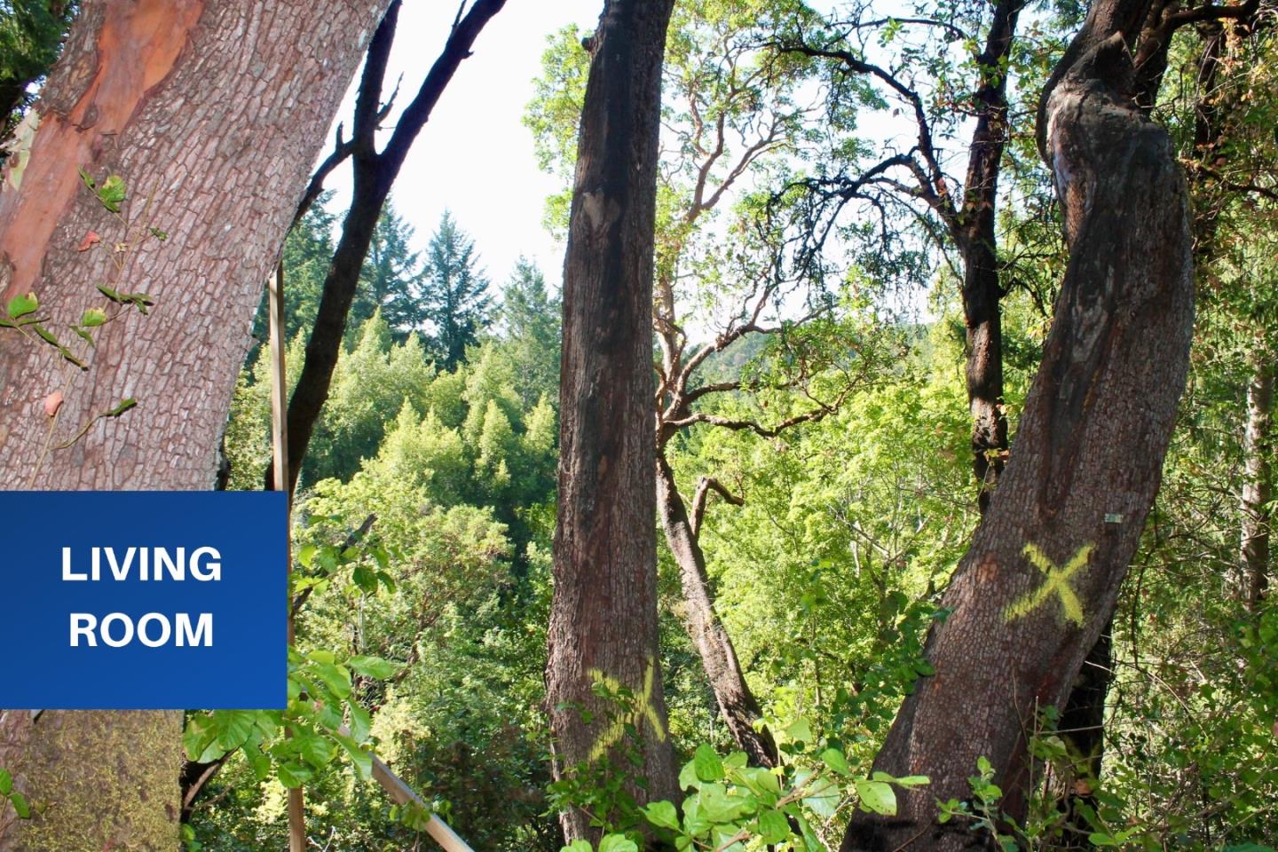 5588 Alpine Road, PORTOLA VALLEY, California 94028, ,Lots And Land,For Sale,Alpine Road,40963213