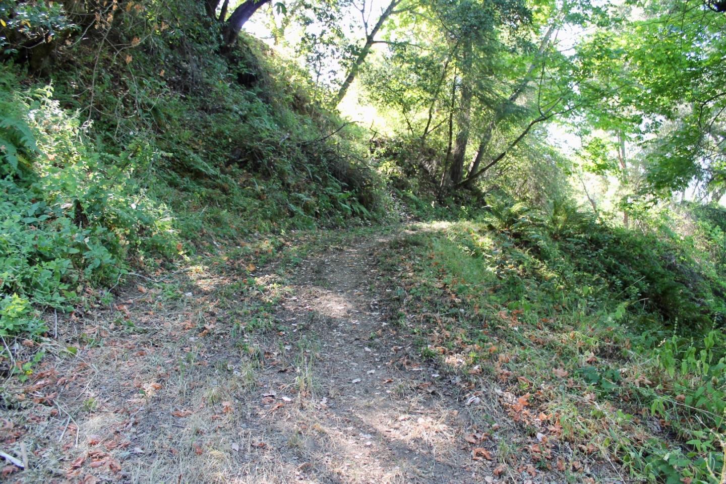 5588 Alpine Road, PORTOLA VALLEY, California 94028, ,Lots And Land,For Sale,Alpine Road,40963213