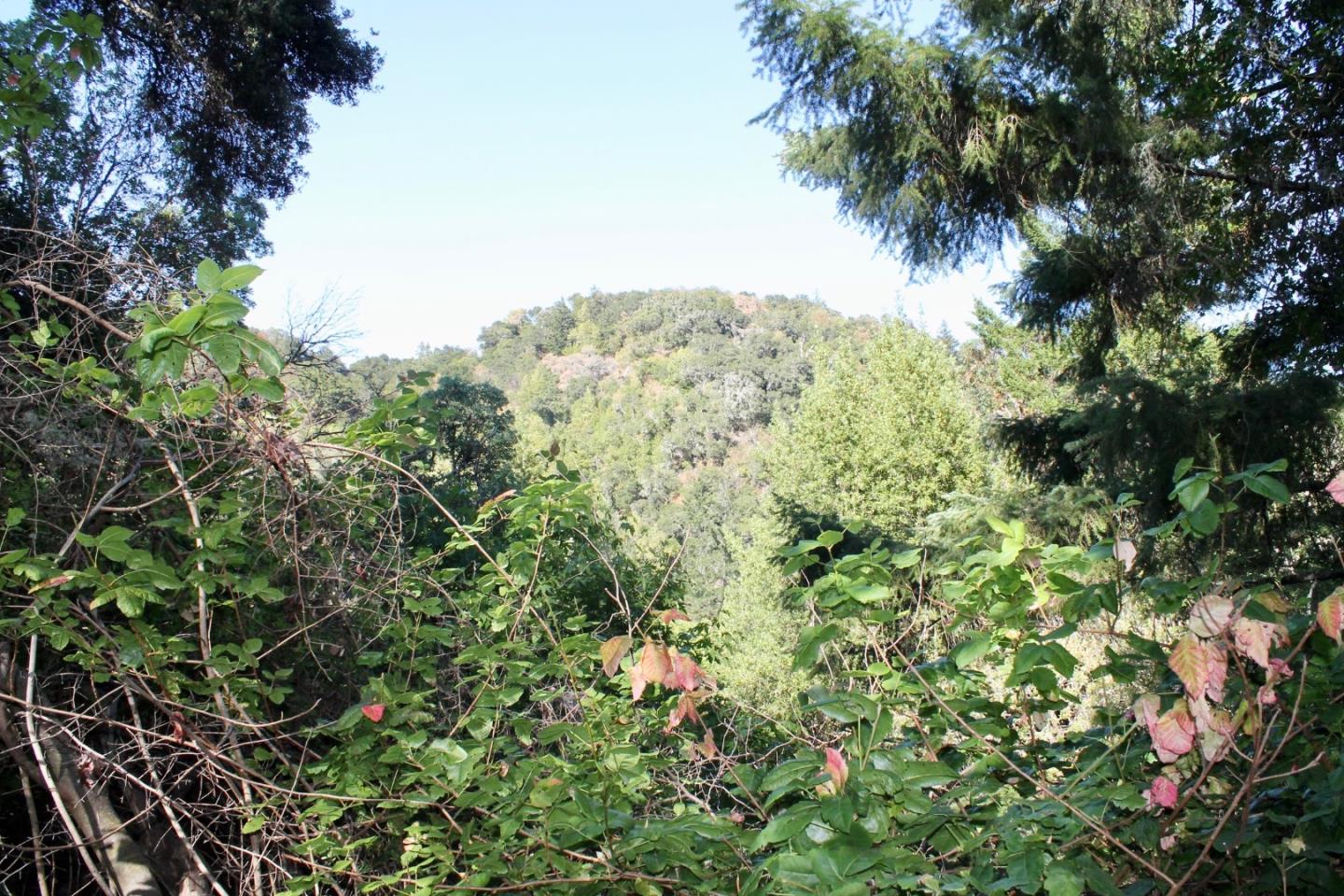 5588 Alpine Road, PORTOLA VALLEY, California 94028, ,Lots And Land,For Sale,Alpine Road,40963213