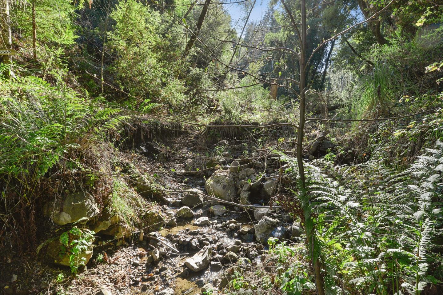 5588 Alpine Road, PORTOLA VALLEY, California 94028, ,Lots And Land,For Sale,Alpine Road,40963213