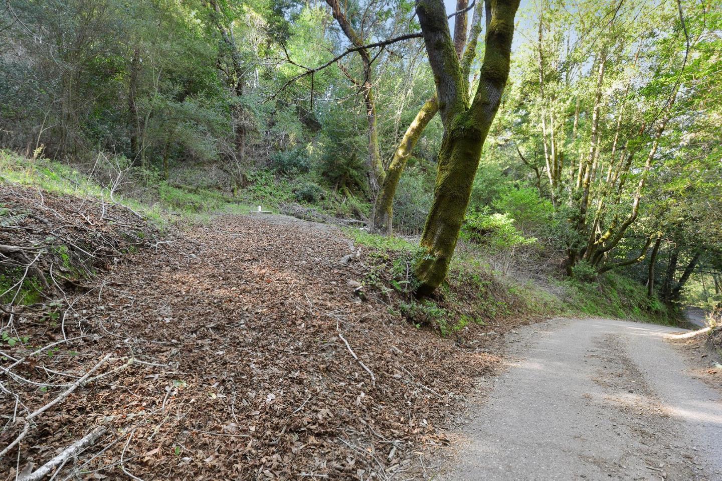 5588 Alpine Road, PORTOLA VALLEY, California 94028, ,Lots And Land,For Sale,Alpine Road,40963213