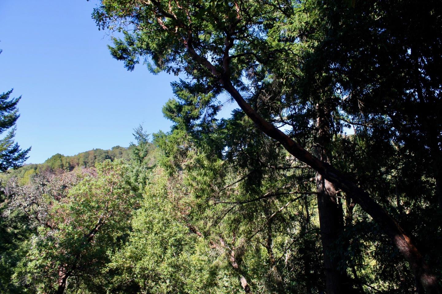 5588 Alpine Road, PORTOLA VALLEY, California 94028, ,Lots And Land,For Sale,Alpine Road,40963213