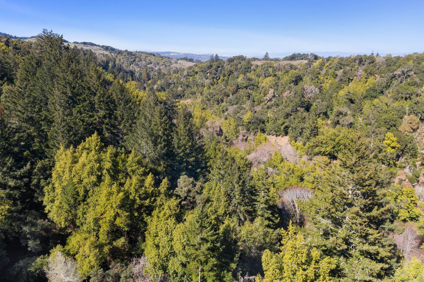 5588 Alpine Road, PORTOLA VALLEY, California 94028, ,Lots And Land,For Sale,Alpine Road,40963213