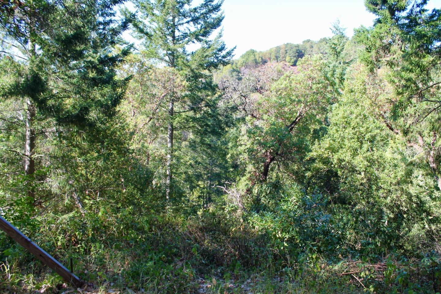 5588 Alpine Road, PORTOLA VALLEY, California 94028, ,Lots And Land,For Sale,Alpine Road,40963213
