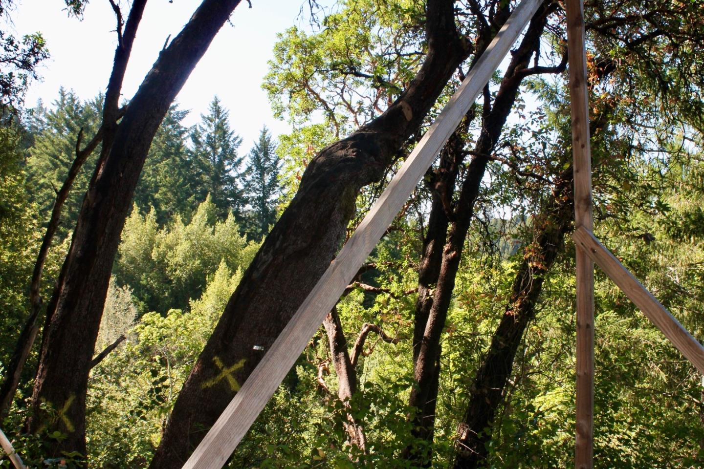 5588 Alpine Road, PORTOLA VALLEY, California 94028, ,Lots And Land,For Sale,Alpine Road,40963213