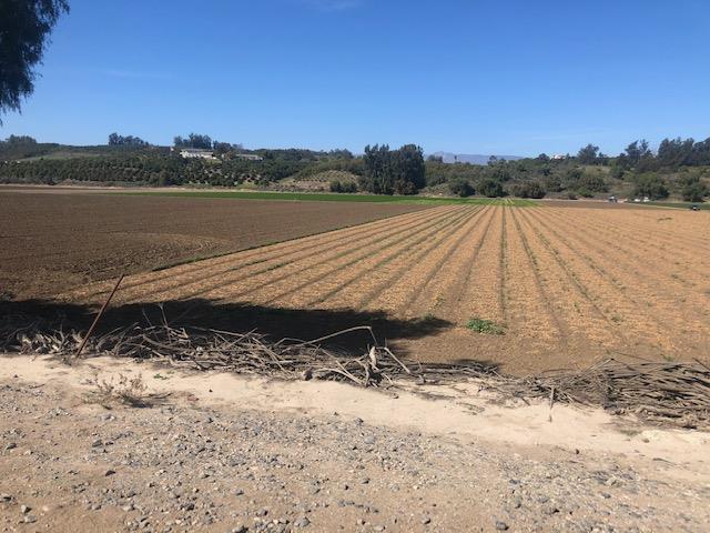 0 Los Angeles Avenue, OTHER - SEE REMARKS, California 93021, ,Comm Lots And Land,For Sale,Los Angeles Avenue,40962351