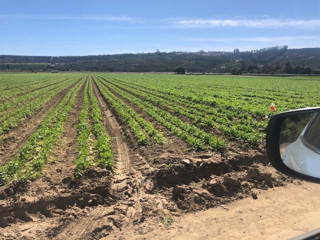 0 Los Angeles Avenue, OTHER - SEE REMARKS, California 93021, ,Comm Lots And Land,For Sale,Los Angeles Avenue,40962351