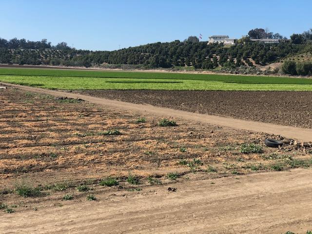 0 Los Angeles Avenue, OTHER - SEE REMARKS, California 93021, ,Comm Lots And Land,For Sale,Los Angeles Avenue,40962351