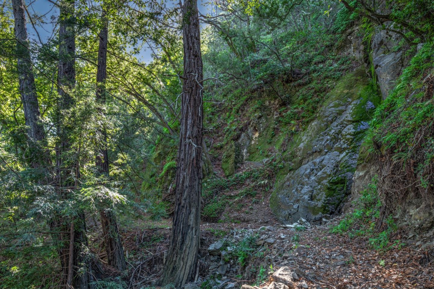 46151 Clear Ridge Rd, BIG SUR, California 93920, ,Lots And Land,For Sale,Clear Ridge Rd,40962084