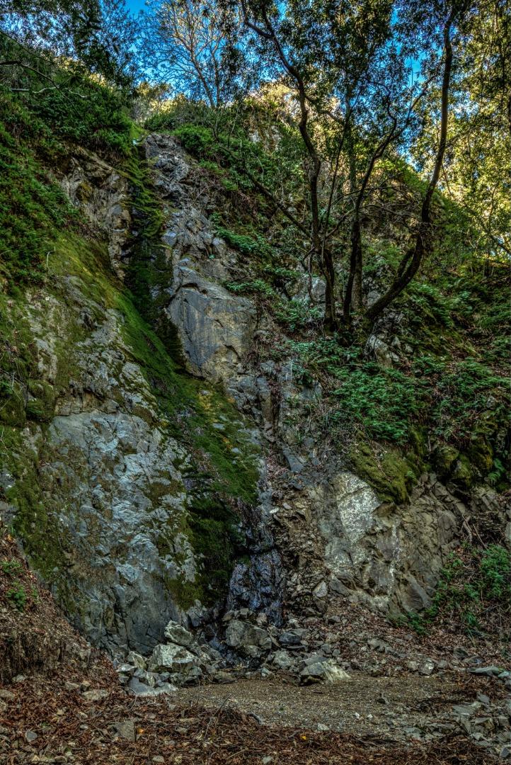 46151 Clear Ridge Rd, BIG SUR, California 93920, ,Lots And Land,For Sale,Clear Ridge Rd,40962084